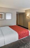 Туры в отель Comfort Inn - NYS Fairgrounds Туры в отель Comfort Inn - NYS Fairgrounds