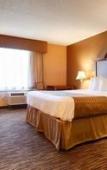 Туры в отель Best Western The Inn At The Fairgrounds Туры в отель Best Western The Inn At The Fairgrounds