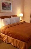 Туры в отель Homewood Suites by Hilton Syracuse/Liverpool Туры в отель Homewood Suites by Hilton Syracuse/Liverpool