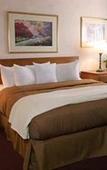 Туры в отель Homewood Suites by Hilton Syracuse/Liverpool Туры в отель Homewood Suites by Hilton Syracuse/Liverpool