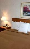 Туры в отель Homewood Suites by Hilton Syracuse/Liverpool Туры в отель Homewood Suites by Hilton Syracuse/Liverpool