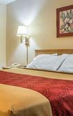 Туры в отель Econo Lodge Dewitt I-90 Туры в отель Econo Lodge Dewitt I-90