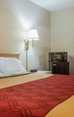 Туры в отель Econo Lodge Dewitt I-90 Туры в отель Econo Lodge Dewitt I-90