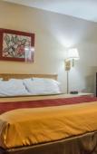 Туры в отель Econo Lodge Dewitt I-90 Туры в отель Econo Lodge Dewitt I-90