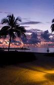 Туры в отель The Ritz-Carlton Bal Harbour Туры в отель The Ritz-Carlton Bal Harbour