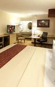 Туры в отель Red Roof Inn Rochester - Henrietta Туры в отель Red Roof Inn Rochester - Henrietta