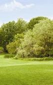 Туры в отель Woodcliff Hotel and Spa Туры в отель Woodcliff Hotel and Spa