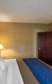 Туры в отель Oakfield Hotel & Suites, Ascend Collection, Rochester-Pittsford NY Туры в отель Oakfield Hotel & Suites, Ascend Collection, Rochester-Pittsford NY