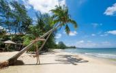 Туры в отель Coco Palm Resort Phu Quoc Туры в отель Coco Palm Resort Phu Quoc