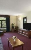 Туры в отель Comfort Inn & Suites Lake George Туры в отель Comfort Inn & Suites Lake George