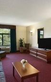 Туры в отель Comfort Inn & Suites Lake George Туры в отель Comfort Inn & Suites Lake George