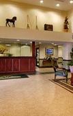 Туры в отель Comfort Inn & Suites Lake George Туры в отель Comfort Inn & Suites Lake George