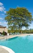 Туры в отель Tiki Resort Туры в отель Tiki Resort