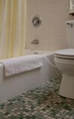 Туры в отель Meadow Court Inn Туры в отель Meadow Court Inn