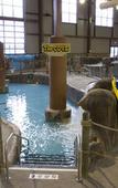 Туры в отель Hope Lake Lodge & Indoor Waterpark Туры в отель Hope Lake Lodge & Indoor Waterpark