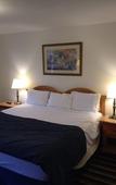 Туры в отель Hotel on Monroe, BW Signature Collection Туры в отель Hotel on Monroe, BW Signature Collection