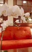 Туры в отель Best Western Plus Fairfield Hotel Туры в отель Best Western Plus Fairfield Hotel
