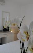Туры в отель Orchidea (Cervia) Туры в отель Orchidea (Cervia)