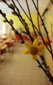 Туры в отель Ibis Styles Maribor City Center Туры в отель Ibis Styles Maribor City Center
