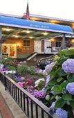 Туры в отель Bluebird Spa City Motor Lodge Туры в отель Bluebird Spa City Motor Lodge