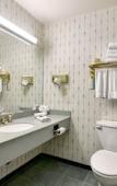 Туры в отель Roosevelt Inn and Suites Saratoga Springs Туры в отель Roosevelt Inn and Suites Saratoga Springs