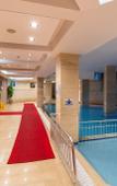 Туры в отель Orfeus Park Hotel Туры в отель Orfeus Park Hotel