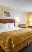 Туры в отель Clarion Hotel & Conference Center Toms River Туры в отель Clarion Hotel & Conference Center Toms River