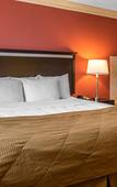 Туры в отель Clarion Hotel & Conference Center Toms River Туры в отель Clarion Hotel & Conference Center Toms River