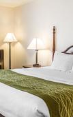 Туры в отель City Express by Marriott Petoskey Harbor Springs Туры в отель City Express by Marriott Petoskey Harbor Springs