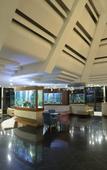 Туры в отель Perre La Mer Hotel Туры в отель Perre La Mer Hotel