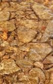 Туры в отель Tailwater Lodge on the Salmon River Altmar, Tapestry Hilton Туры в отель Tailwater Lodge on the Salmon River Altmar, Tapestry Hilton