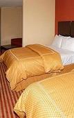 Туры в отель Holiday Inn Express & Suites Bridgeport by IHG Туры в отель Holiday Inn Express & Suites Bridgeport by IHG