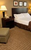 Туры в отель Clarion Inn Elmira-Horseheads Туры в отель Clarion Inn Elmira-Horseheads