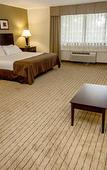 Туры в отель Clarion Inn Elmira-Horseheads Туры в отель Clarion Inn Elmira-Horseheads