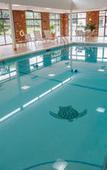 Туры в отель Clarion Inn Elmira-Horseheads Туры в отель Clarion Inn Elmira-Horseheads