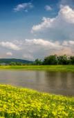 Туры в отель Clarion Inn Elmira-Horseheads Туры в отель Clarion Inn Elmira-Horseheads