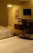 Туры в отель Hampton Inn Oneonta Туры в отель Hampton Inn Oneonta