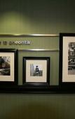 Туры в отель Hampton Inn Oneonta Туры в отель Hampton Inn Oneonta