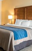 Туры в отель Comfort Inn Apalachin / Binghamton W Route 17 Туры в отель Comfort Inn Apalachin / Binghamton W Route 17