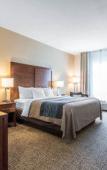 Туры в отель Comfort Inn Apalachin / Binghamton W Route 17 Туры в отель Comfort Inn Apalachin / Binghamton W Route 17