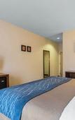 Туры в отель Comfort Inn Apalachin / Binghamton W Route 17 Туры в отель Comfort Inn Apalachin / Binghamton W Route 17