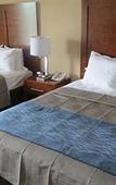 Туры в отель Comfort Inn Apalachin / Binghamton W Route 17 Туры в отель Comfort Inn Apalachin / Binghamton W Route 17