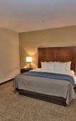 Туры в отель Comfort Inn Apalachin / Binghamton W Route 17 Туры в отель Comfort Inn Apalachin / Binghamton W Route 17