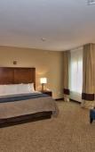 Туры в отель Comfort Inn Apalachin / Binghamton W Route 17 Туры в отель Comfort Inn Apalachin / Binghamton W Route 17
