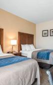 Туры в отель Comfort Inn Apalachin / Binghamton W Route 17 Туры в отель Comfort Inn Apalachin / Binghamton W Route 17