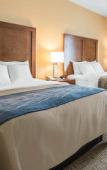 Туры в отель Comfort Inn Apalachin / Binghamton W Route 17 Туры в отель Comfort Inn Apalachin / Binghamton W Route 17