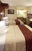 Туры в отель Red Roof Inn Binghamton - Johnson City Туры в отель Red Roof Inn Binghamton - Johnson City