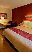 Туры в отель Red Roof Inn Binghamton - Johnson City Туры в отель Red Roof Inn Binghamton - Johnson City