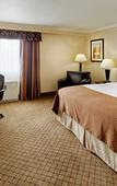 Туры в отель Holiday Inn Binghamton Downtown by IHG Туры в отель Holiday Inn Binghamton Downtown by IHG