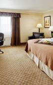 Туры в отель Holiday Inn Binghamton Downtown by IHG Туры в отель Holiday Inn Binghamton Downtown by IHG